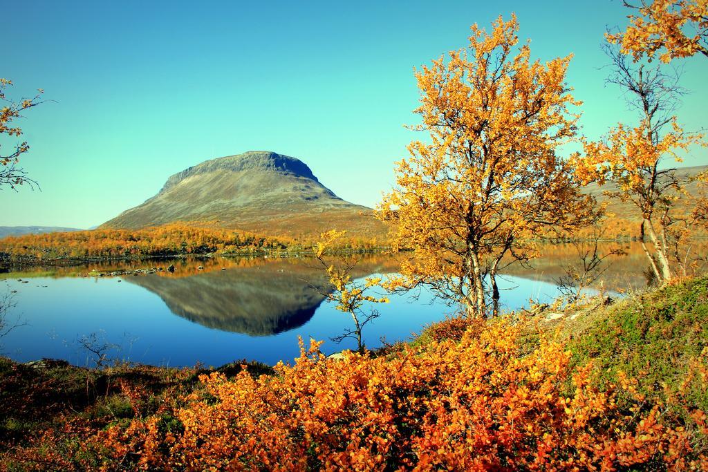 Saivaara Cottages Kilpisjärvi Rom bilde