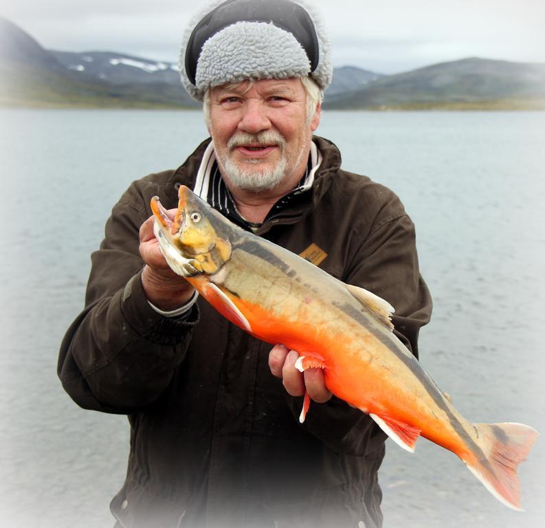 Saivaara Cottages Kilpisjärvi Rom bilde